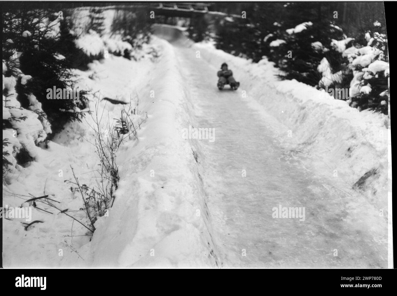 Participant descendant la piste de luge à Karpacz lors de la compétition de coupe du comité de culture physique principal, soulignant le mouvement des athlètes et l'environnement des sports d'hiver en 1954. Banque D'Images