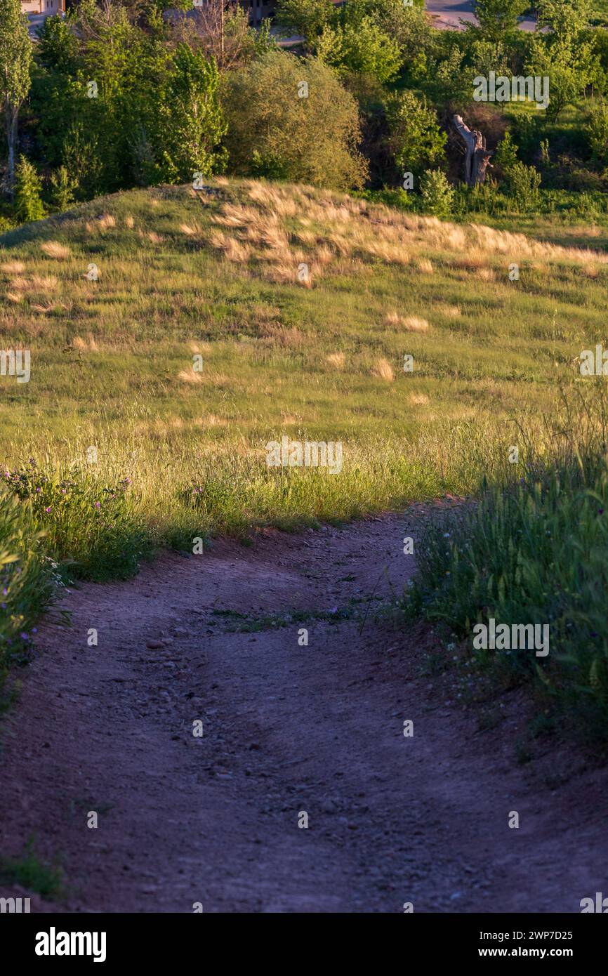 Royaumes doubles. Ombres et lumière du soleil sur le chemin de la nature. Banque D'Images