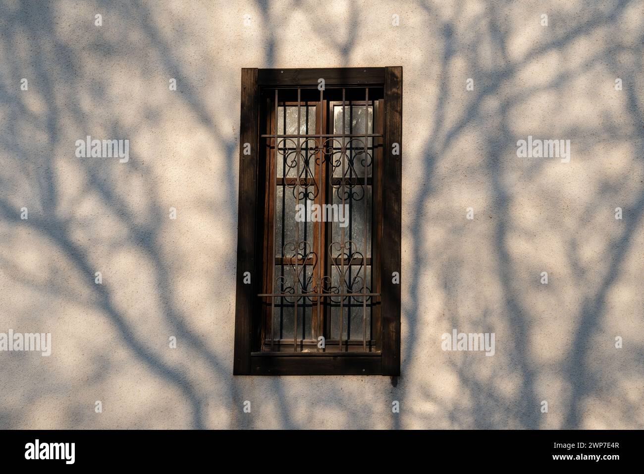 Cadre de fenêtre en bois vintage avec branches d'ombre abstraites. Banque D'Images