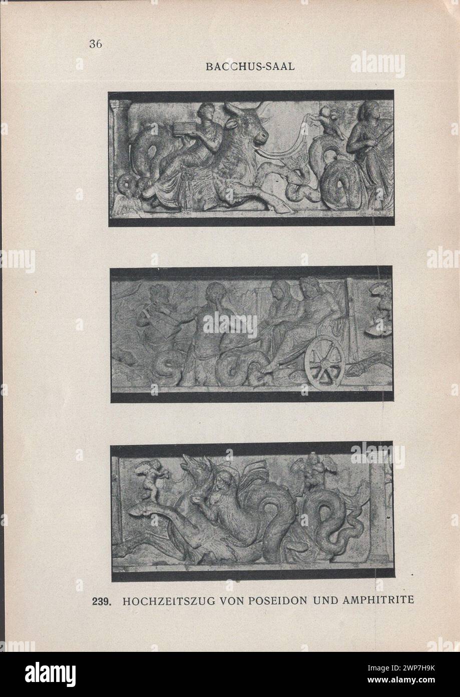 Adolf Furtwängler : Glyptothek 1907 / Illustrierter Katalog der Glyptothek König Ludwig's I. zu München / Kastner & Callwey, 1907 / catalogue illustré de la Glyptothèque du roi Louis Ier à Munich à 1907 / Bacchus-Saal - salle Bacchus / Hochzeitszug von Poséidon und Amphitrite - procession de mariage de Poséidon et Amphitrite - mariage de Poséidon et autel d'Amphitrite - mariage antique de Poséidon et relief d'Amphitrite - mariage antique de Poséidon et Amphitrite relief Banque D'Images