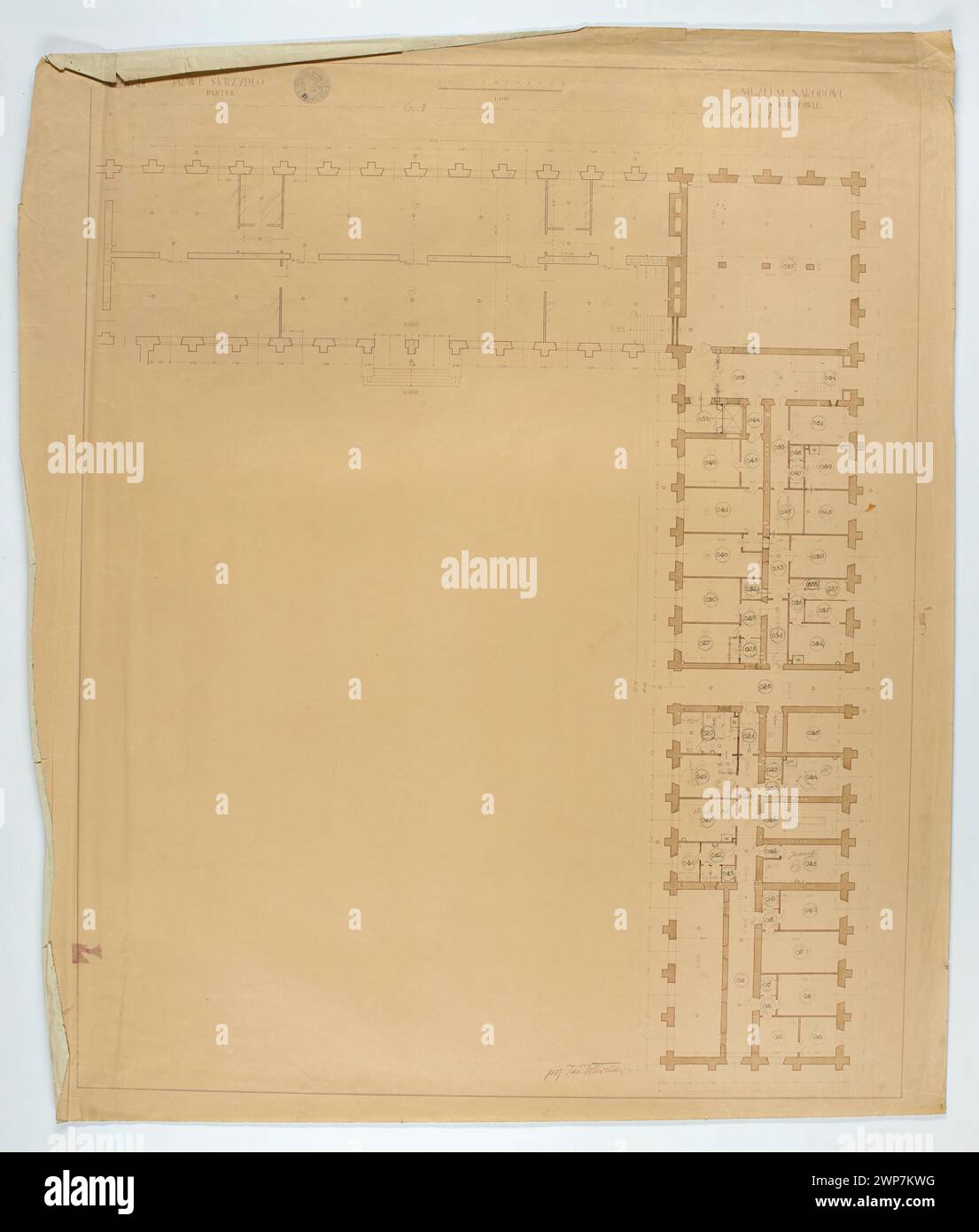 Varsovie. Musée national. Plan exécutif (figure n° 48). Aile droite (partis I et II). Rez-de-chaussée. Projection horizontale avec corrections ; échelle 1 : 100 ; Tadeusz (1887-1951) ; 1927-1928 (1927-00-00-1928-00-00) ; Musée national de Varsovie (1862-), Varsovie (Voïvodie Masovienne), musées (architecte), plans architecturaux, projets architecturaux, plantes, jets architecturaux Banque D'Images