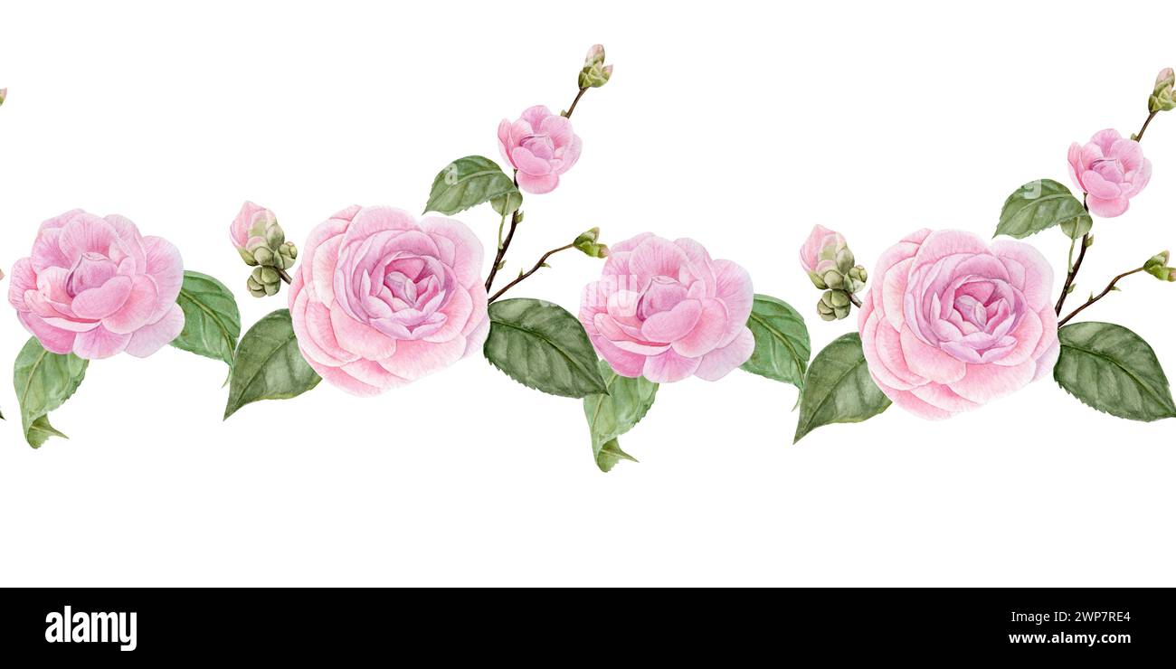 Bouquet flowers of camellias Banque de photographies et d’images à ...