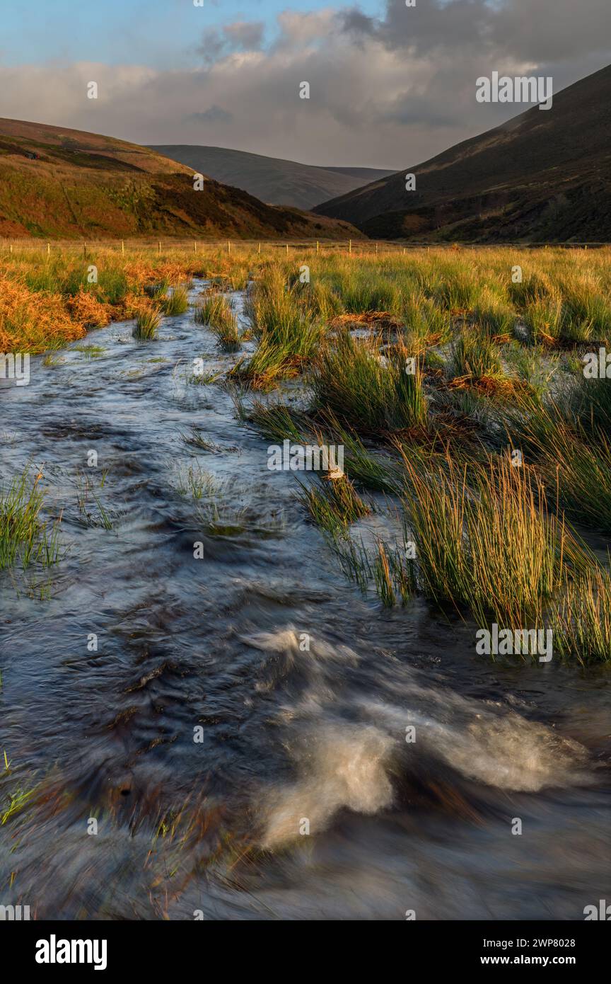 Le Lanngden Beck dans Flood, Forêt de Bowland, Lancashire. Banque D'Images