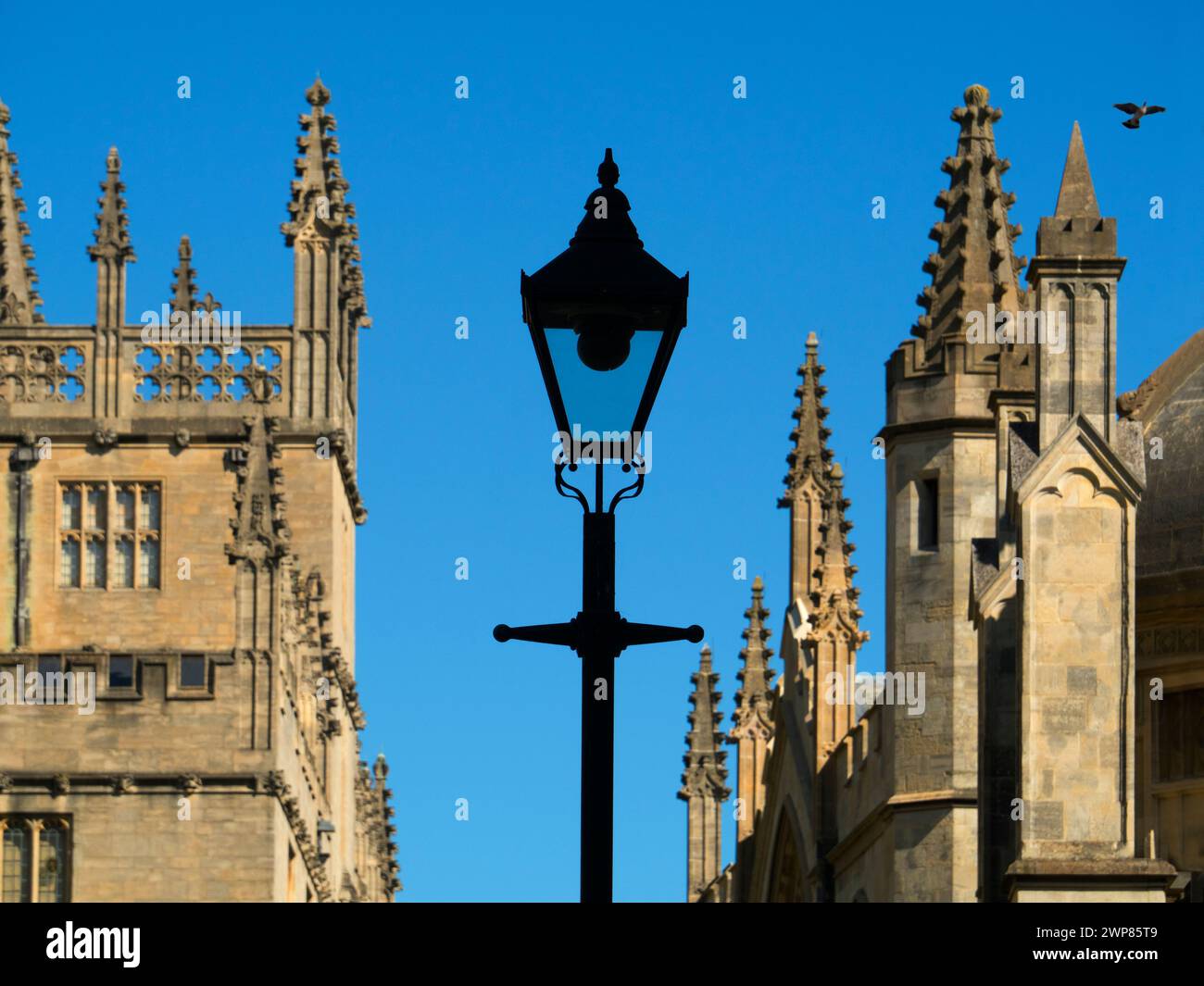 Radcliffe Square se trouve au cœur du quartier historique d'Oxford. Sur la droite, nous voyons une partie de la célèbre bibliothèque Bodleian. Datant - en partie - à th Banque D'Images Radcliffe Square se trouve au cœur du quartier historique d'Oxford. Sur la droite, nous voyons une partie de la célèbre bibliothèque Bodleian. Datant - en partie - à th Banque D'Images