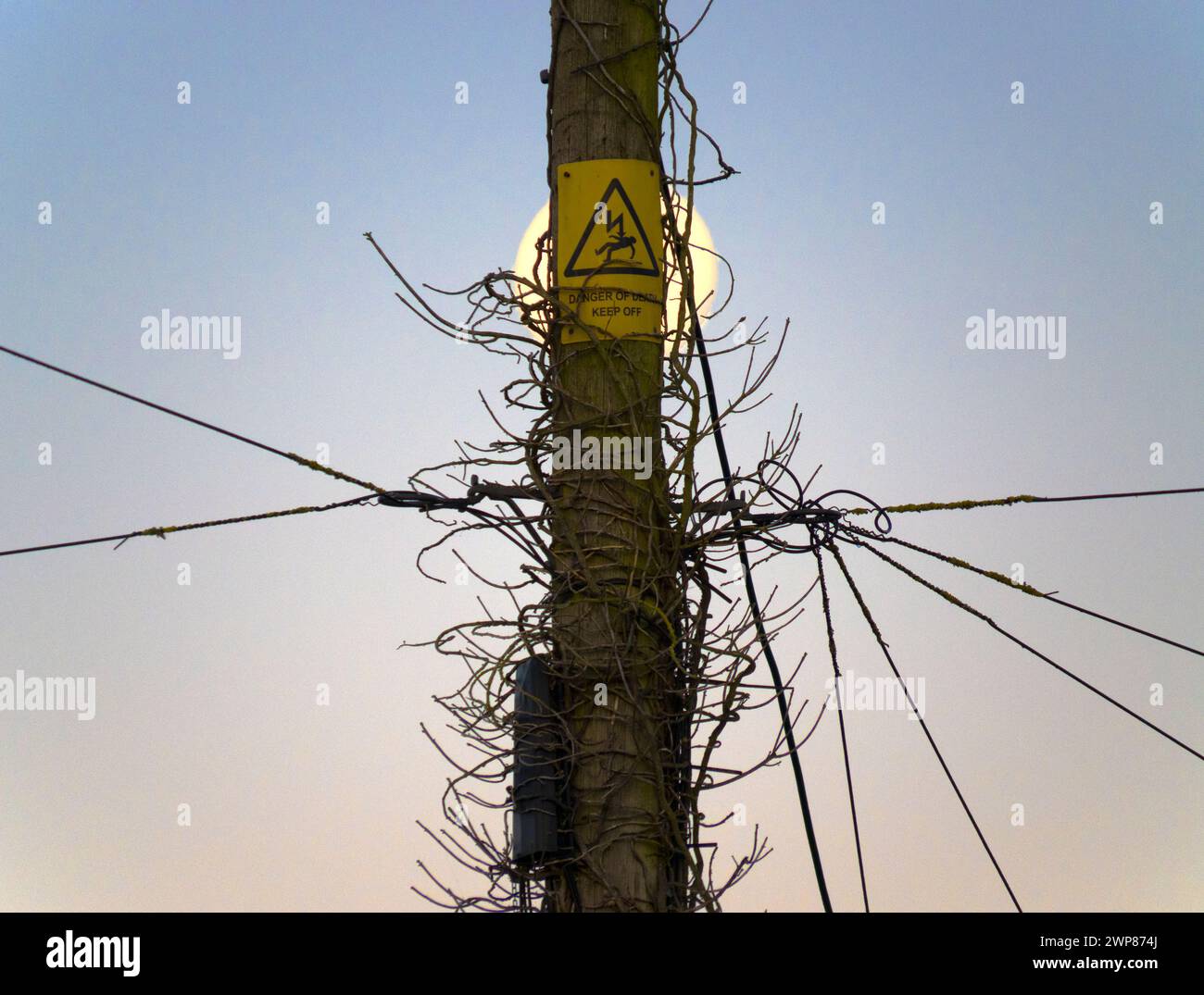 Veemoon Lot De 2 Poteaux Télégraphiques Miniatures En Train