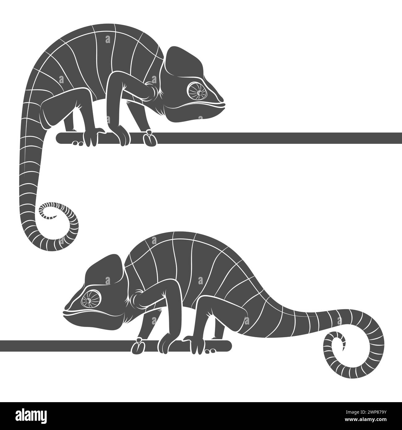 Ensemble d'illustrations en noir et blanc avec caméléon. Objet vectoriel isolé sur fond blanc. Illustration de Vecteur