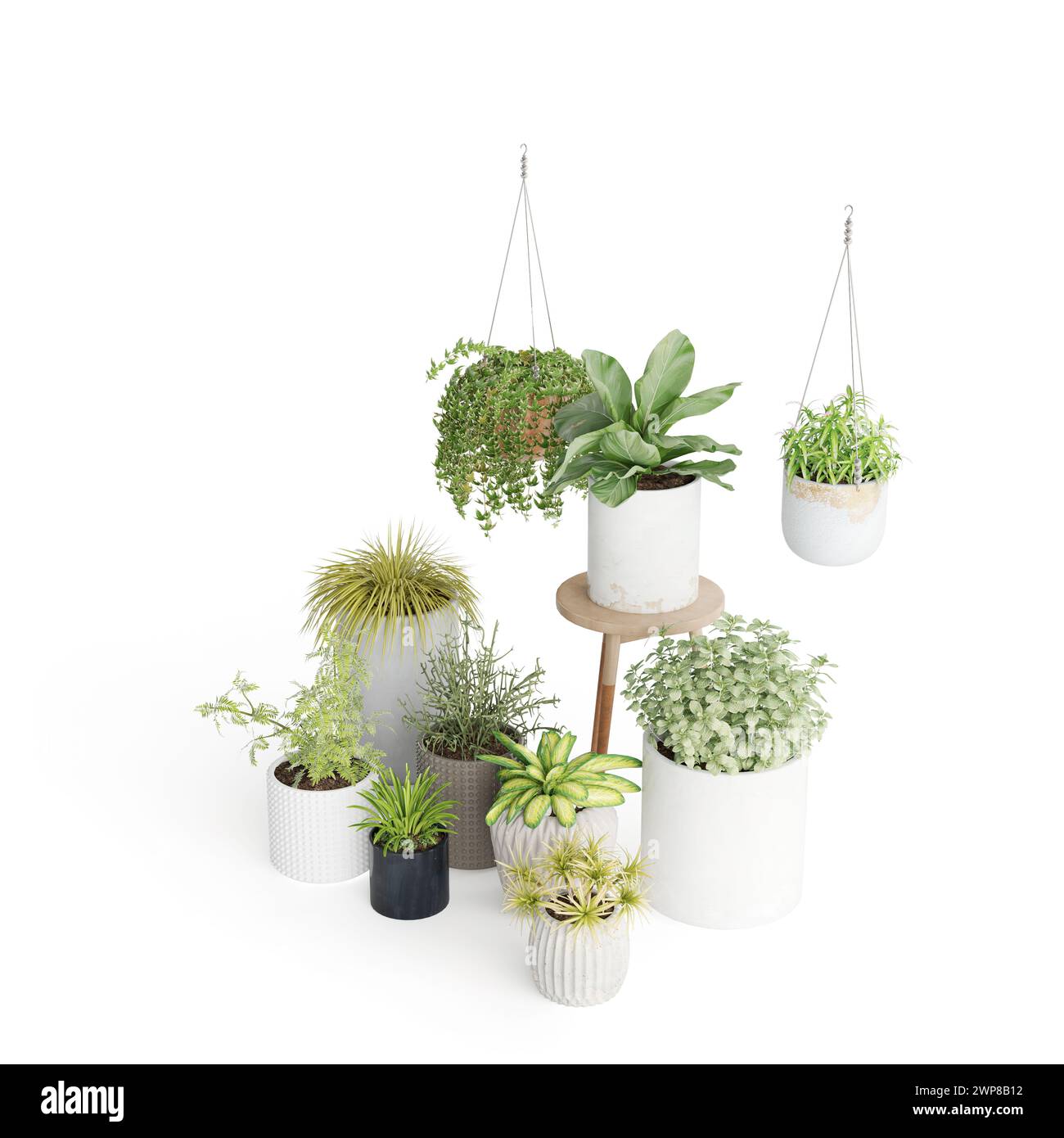 Un rendu 3D de diverses plantes en pot sur fond blanc Banque D'Images