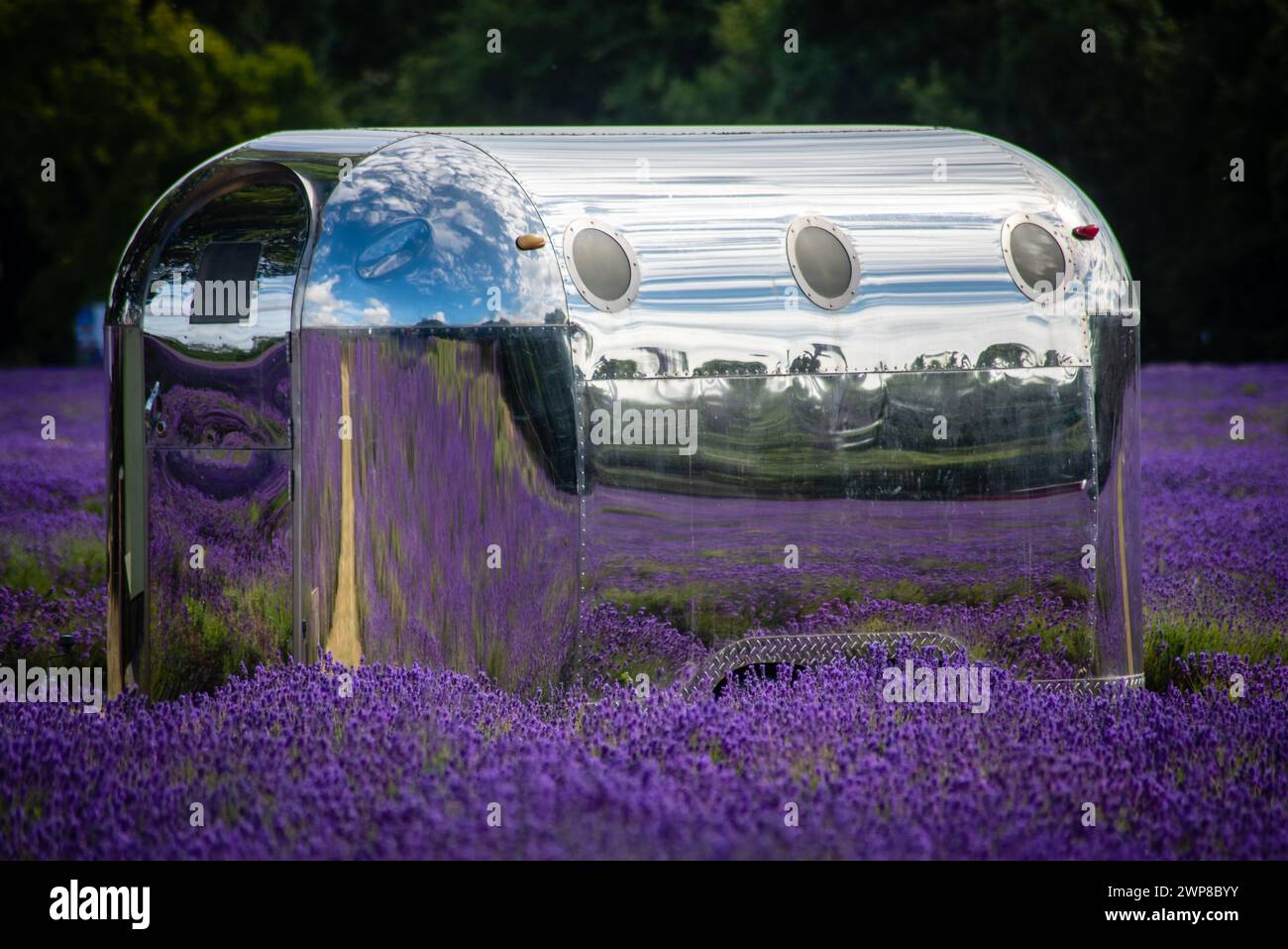 Une remorque Airstream garée dans un champ de lavande Banque D'Images