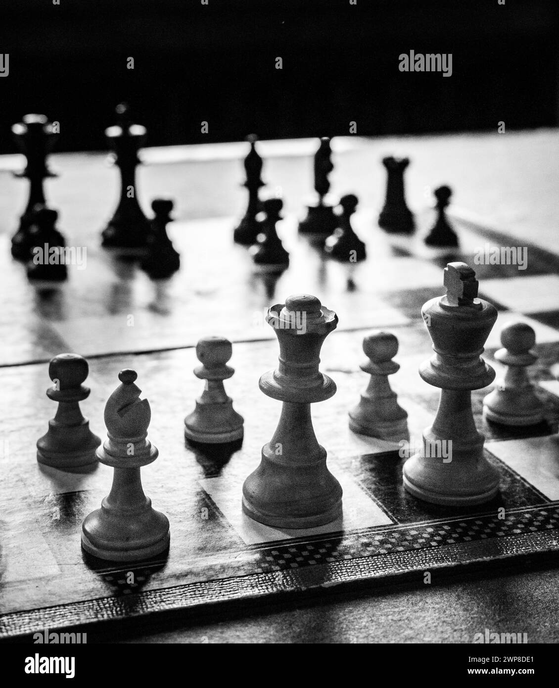 Les pièces blanches d'un jeu d'échecs sur un échiquier. Banque D'Images