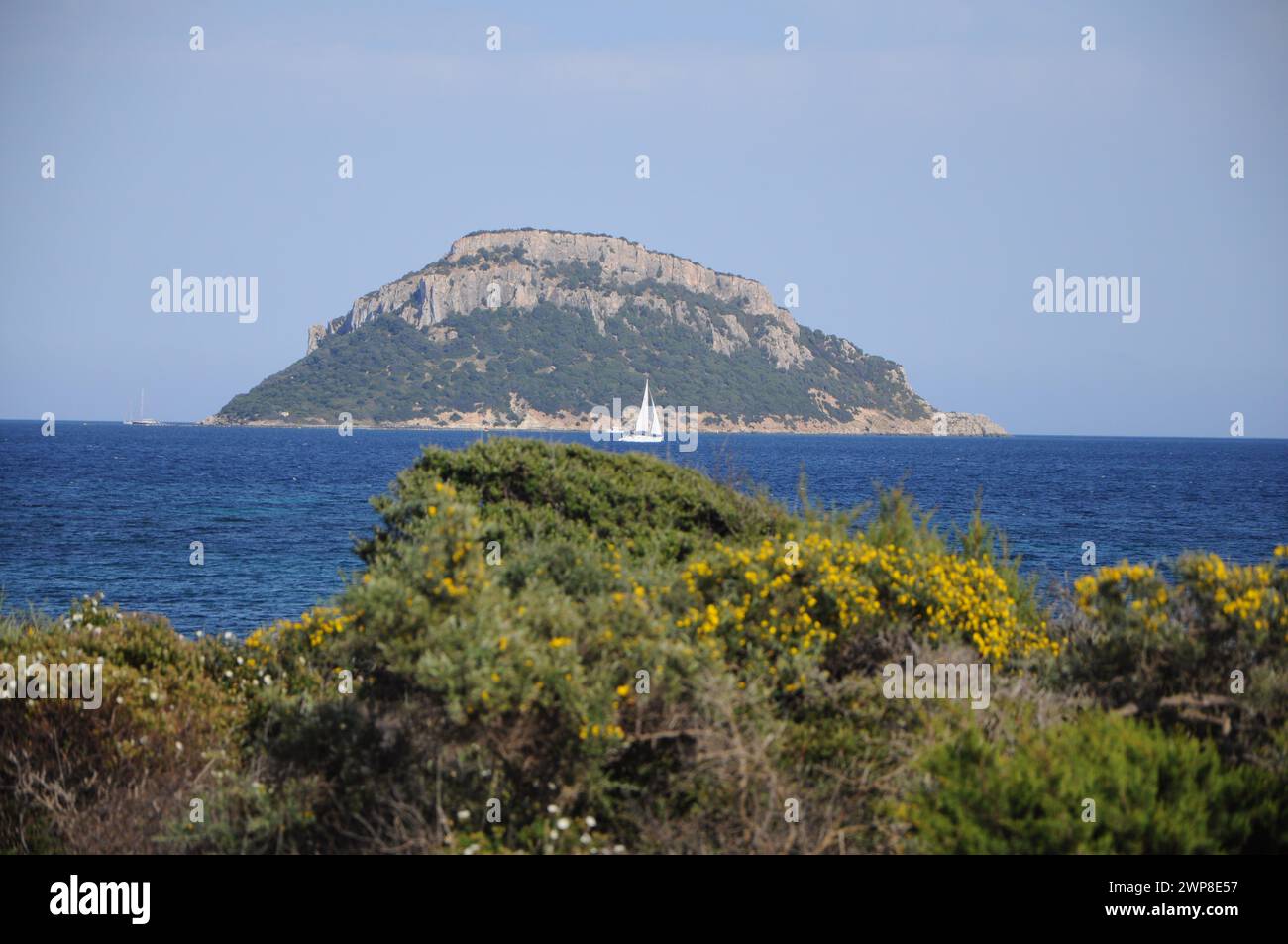 Un bateau près de la côte sur l'eau Banque D'Images