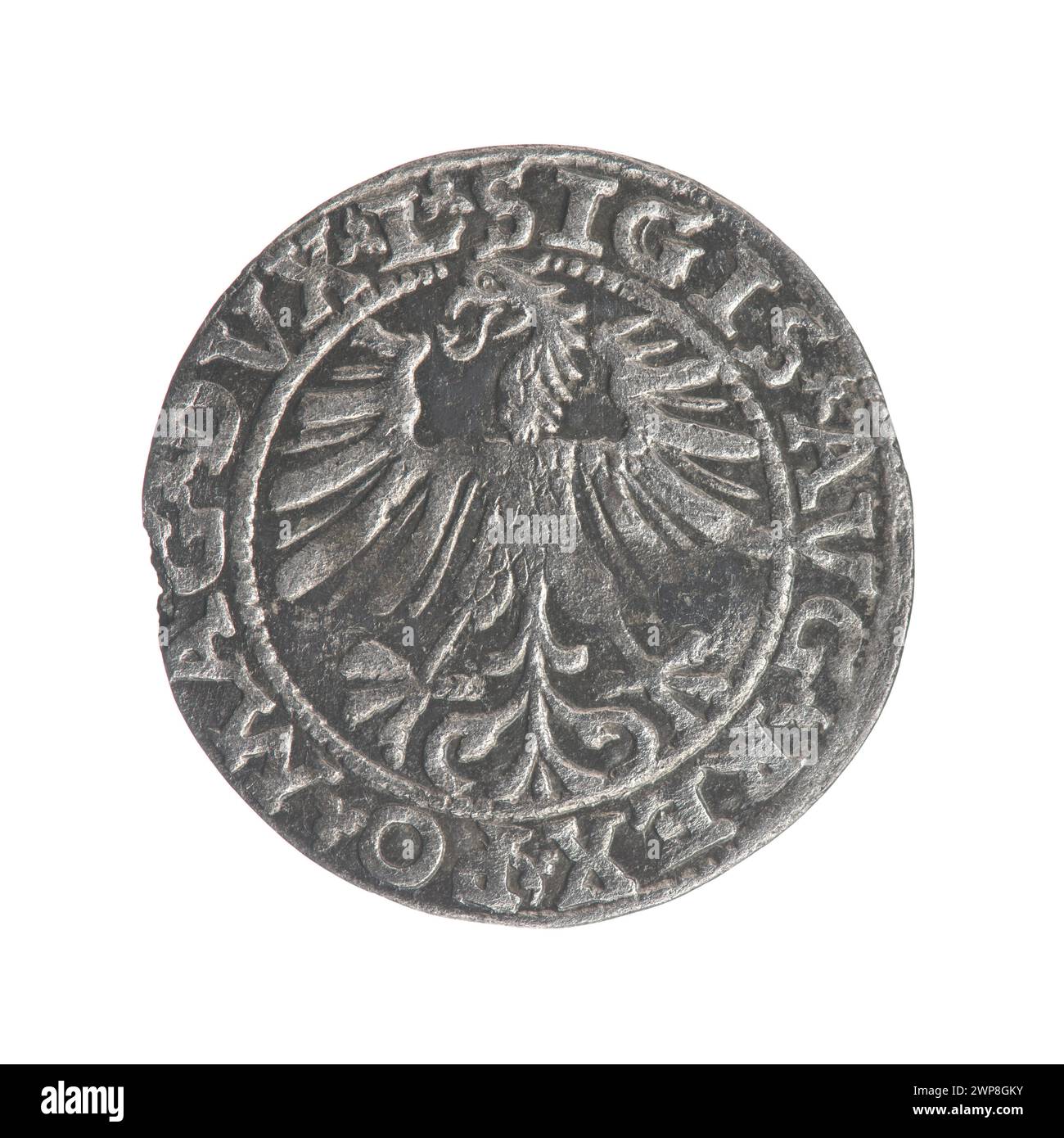Un sou lituanien frappé en 1563 sous le règne du roi Zygmunt II août, lié à Gabriel Tarło, documentant la monnaie du XVIe siècle. Banque D'Images