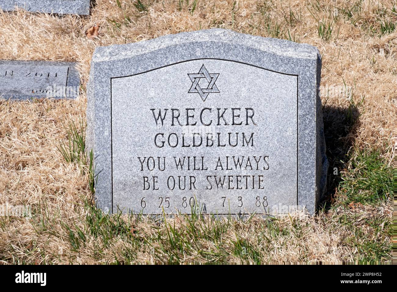 Une pierre tombale avec un nom inhabituel au cimetière pour animaux de compagnie Hartsdale à Westchester, New York. C'est probablement pour un chien. Banque D'Images