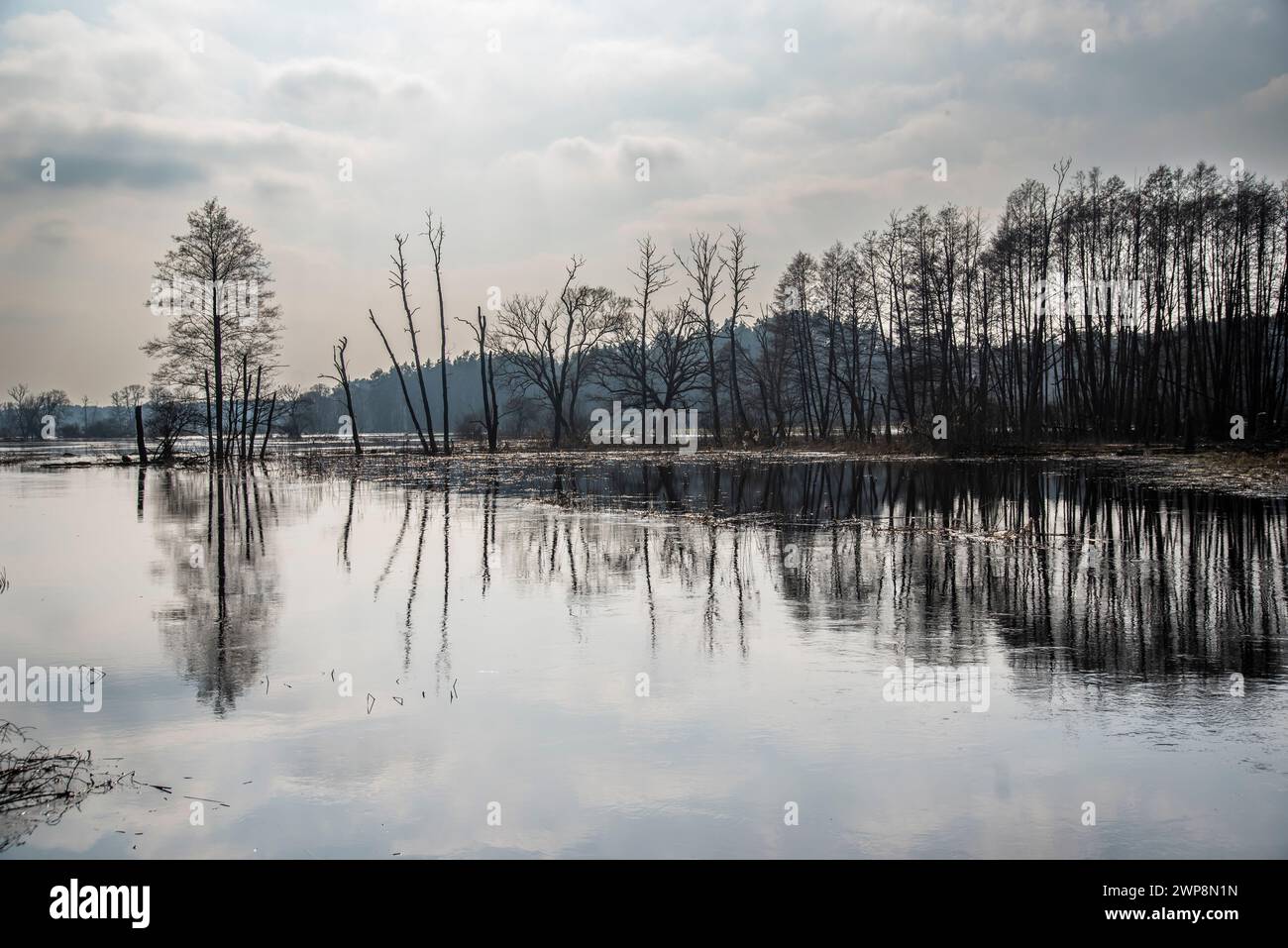 Forêts et champs inondés, inondations dans le paysage naturel. Banque D'Images