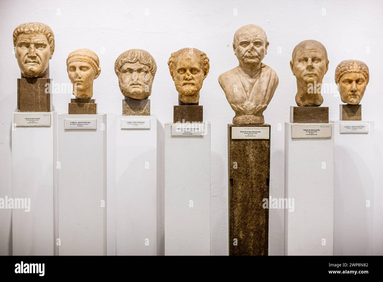 Une collection de bustes en marbre d'individus non identifiés exposés à Séville. Banque D'Images