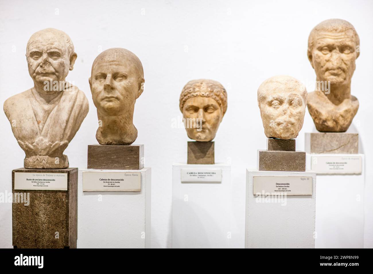 Une collection de bustes en marbre d'individus non identifiés exposés à Séville. Banque D'Images