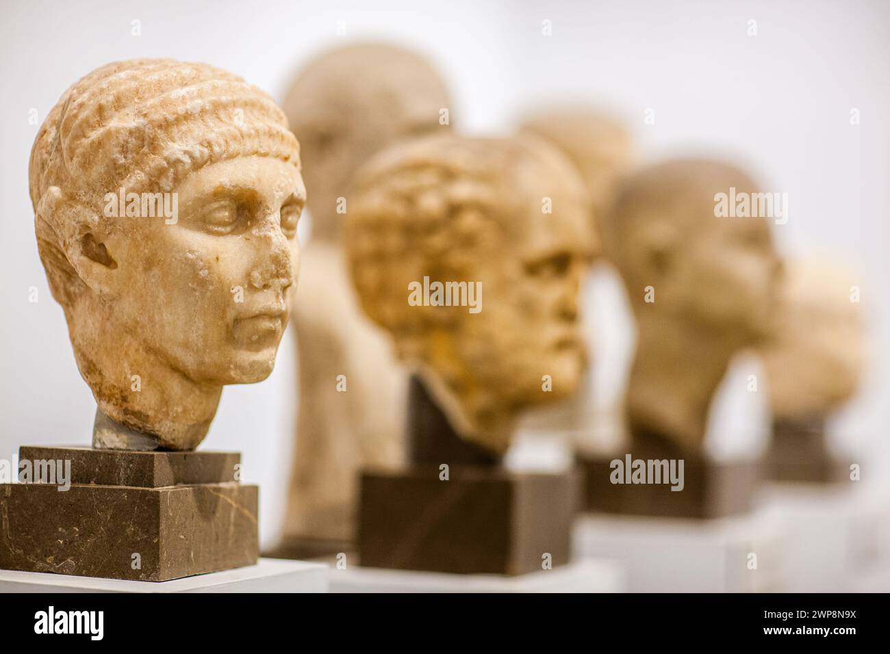 Une collection de bustes en marbre d'individus non identifiés exposés à Séville. Banque D'Images