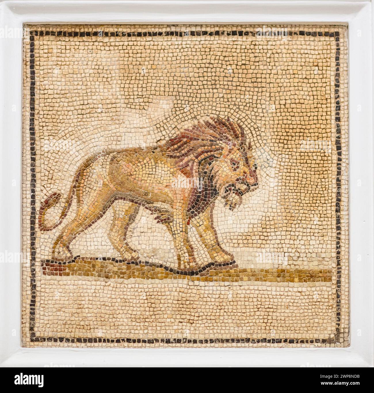 Ancienne mosaïque romaine d'un lion, œuvre d'art du IIIe siècle, exposée au Musée archéologique de Séville. Banque D'Images