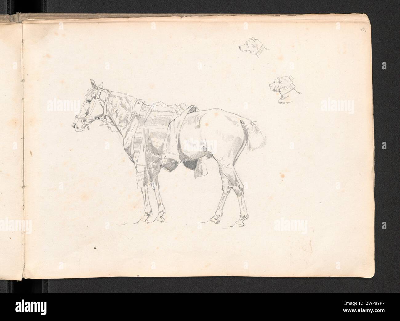 Cette étude de 1881 de Józef Brandt comprend des chevaux avec des couvertures et des croquis de chiens, pour des peintures préparées pour la collection de Maria Aniela Daszewska. Banque D'Images