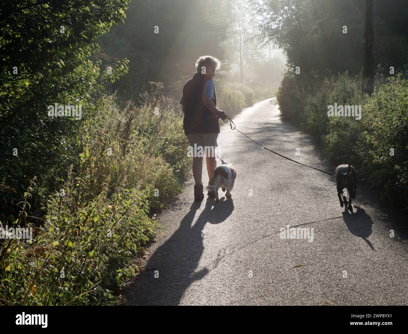 Un de mes sentiers préférés, n'importe où. Il mène de mon village natal de Radley dans l'Oxfordshire, en Angleterre, à une partie pittoresque de la Tamise par Radley Bo Banque D'Images