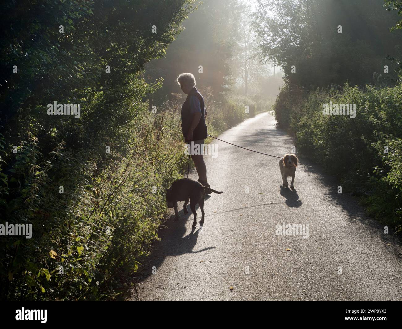 Un de mes sentiers préférés, n'importe où. Il mène de mon village natal de Radley dans l'Oxfordshire, en Angleterre, à une partie pittoresque de la Tamise par Radley Bo Banque D'Images