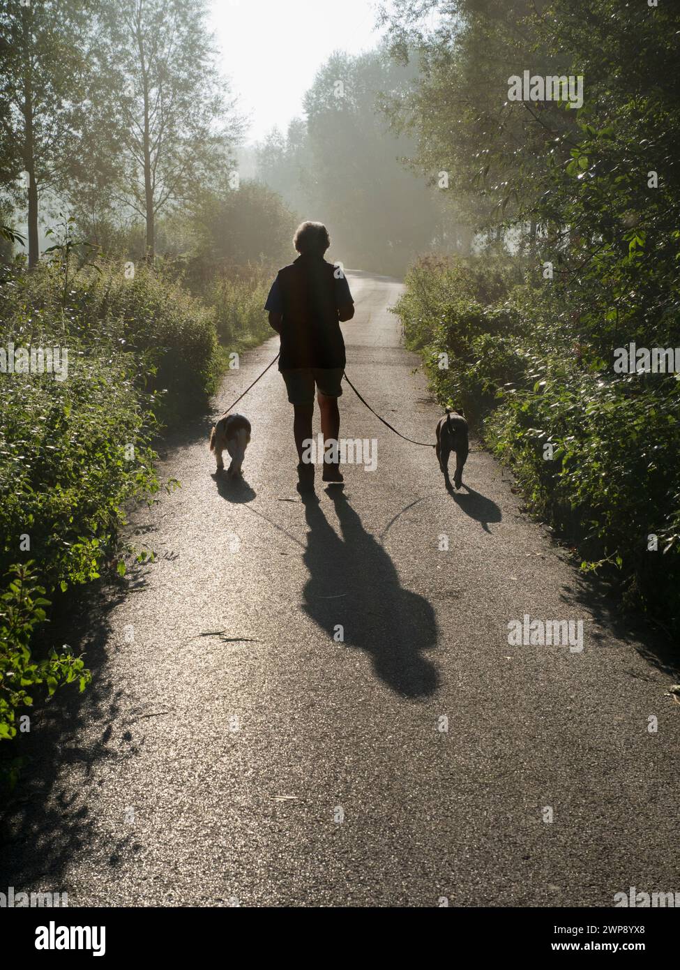 Un de mes sentiers préférés, n'importe où. Il mène de mon village natal de Radley dans l'Oxfordshire, en Angleterre, à une partie pittoresque de la Tamise par Radley Bo Banque D'Images