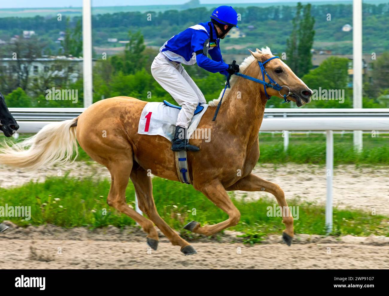 PYATIGORSK, RUSSIE- 7 MAI 2023 : la course de chevaux d'arrivée du prix Big Summer, Caucase du Nord. Banque D'Images