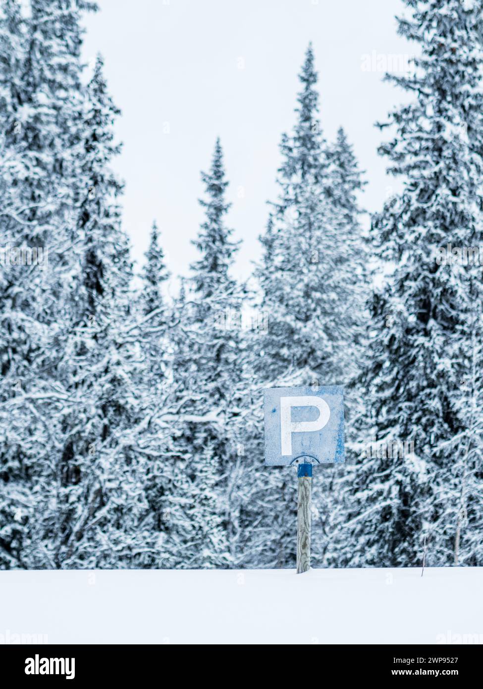 Un panneau de stationnement se dresse bien en vue au milieu d'un vaste champ enneigé, entouré d'un paysage hivernal de neige blanche et d'arbres nus. Banque D'Images
