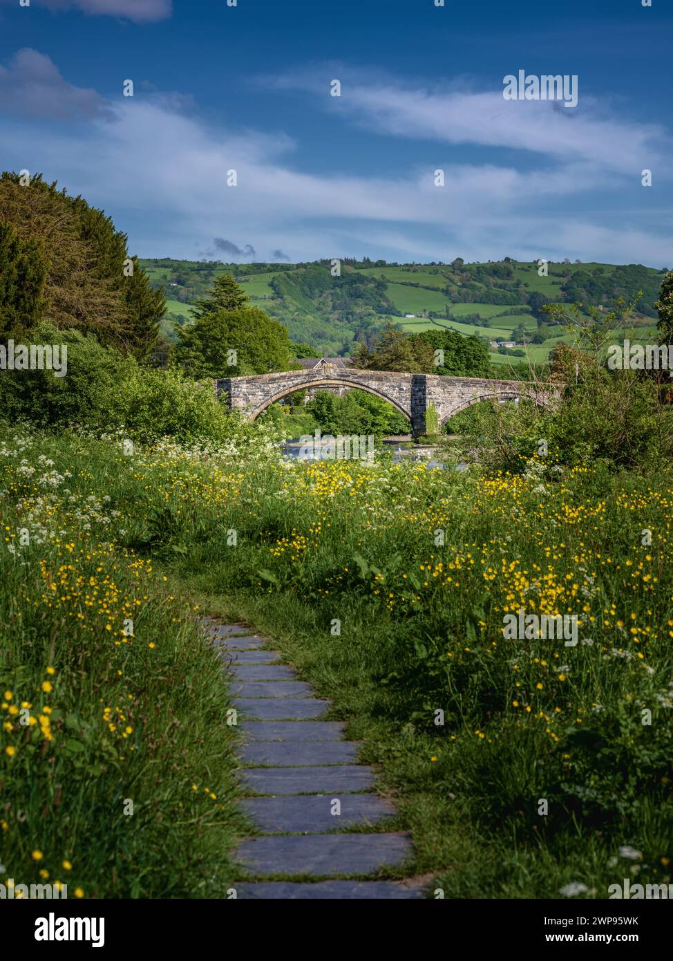 Pont Fawr, pont à trois voûtes traversant la rivière Conwy par Inigo Jones, Llanrwst, pays de Galles Banque D'Images Pont Fawr, pont à trois voûtes traversant la rivière Conwy par Inigo Jones, Llanrwst, pays de Galles Banque D'Images