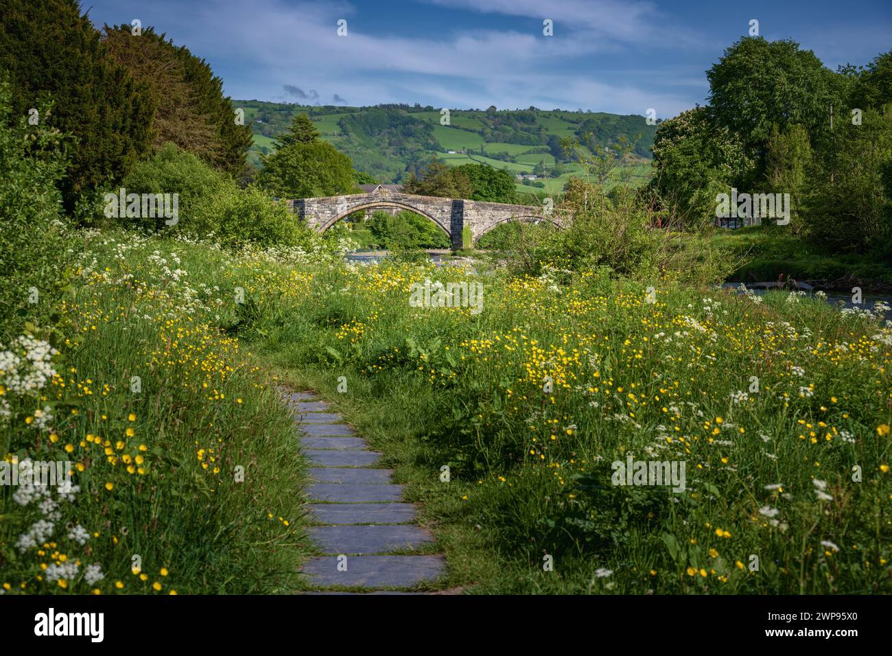 Pont Fawr, pont à trois voûtes traversant la rivière Conwy par Inigo Jones, Llanrwst, pays de Galles Banque D'Images Pont Fawr, pont à trois voûtes traversant la rivière Conwy par Inigo Jones, Llanrwst, pays de Galles Banque D'Images