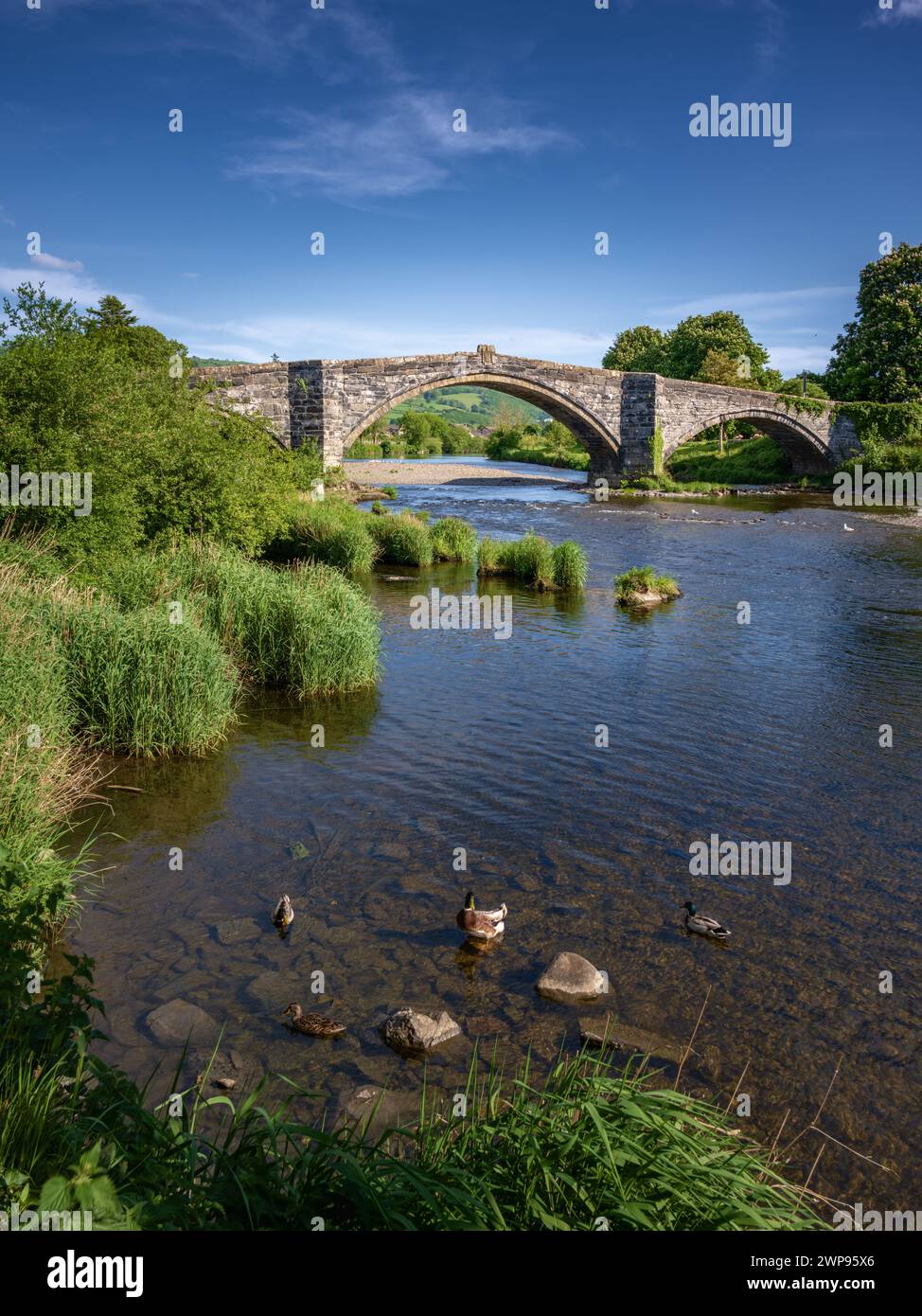 Pont Fawr, pont à trois voûtes traversant la rivière Conwy par Inigo Jones, Llanrwst, pays de Galles Banque D'Images