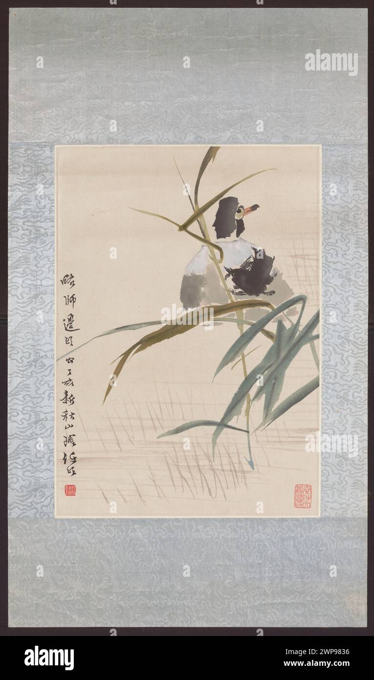 reproduction du xxe siècle représentant un canard dans un tamis, illustrant des scènes rurales ou domestiques. Banque D'Images
