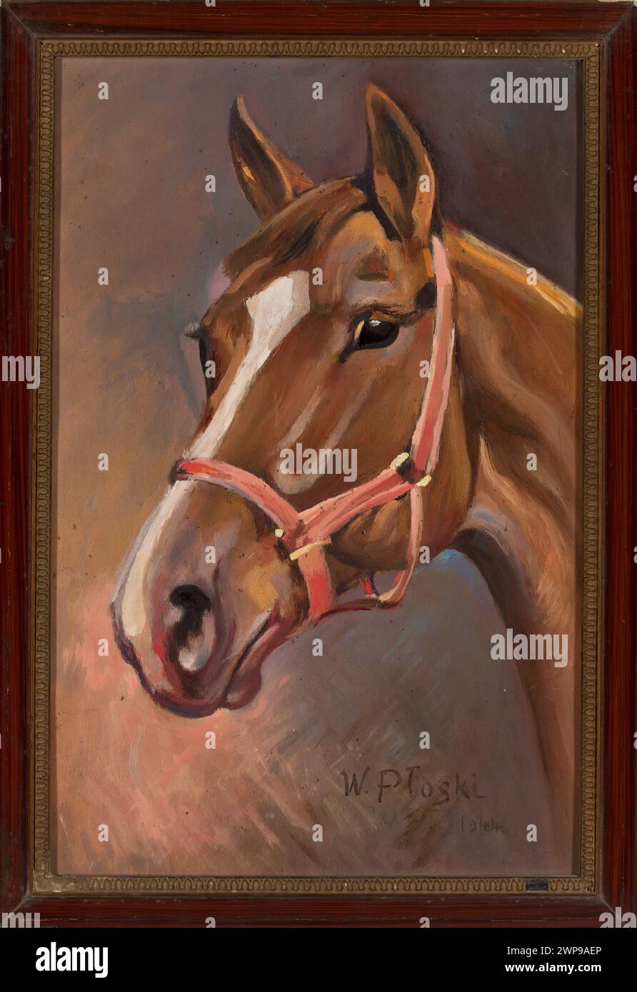 1944 peinture contemporaine de W. P. Oski représentant la tête d'un cheval, mettant l'accent sur l'anatomie et la forme. Banque D'Images