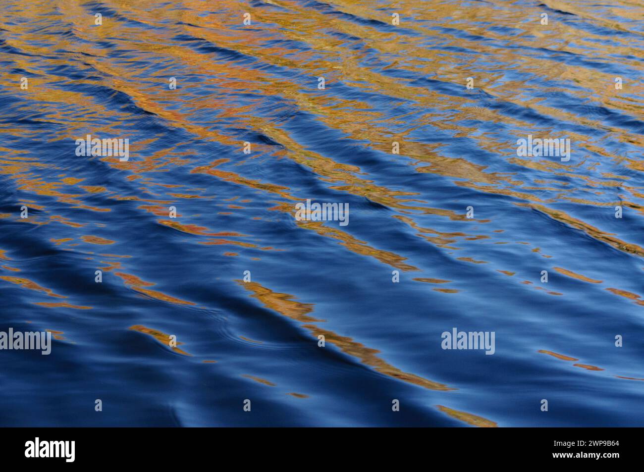 Couleur d'automne reflétée dans Lon g Pond dans la région de Ferris Lake Wild Forest dans les montagnes Adirondack de l'État de New York Banque D'Images