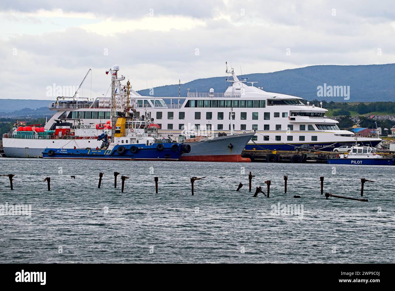 Navire d'expédition Stella Australis, bateau de pêche Globalpesca et remorqueur Beagle Indock à Punta Arenas. Banque D'Images