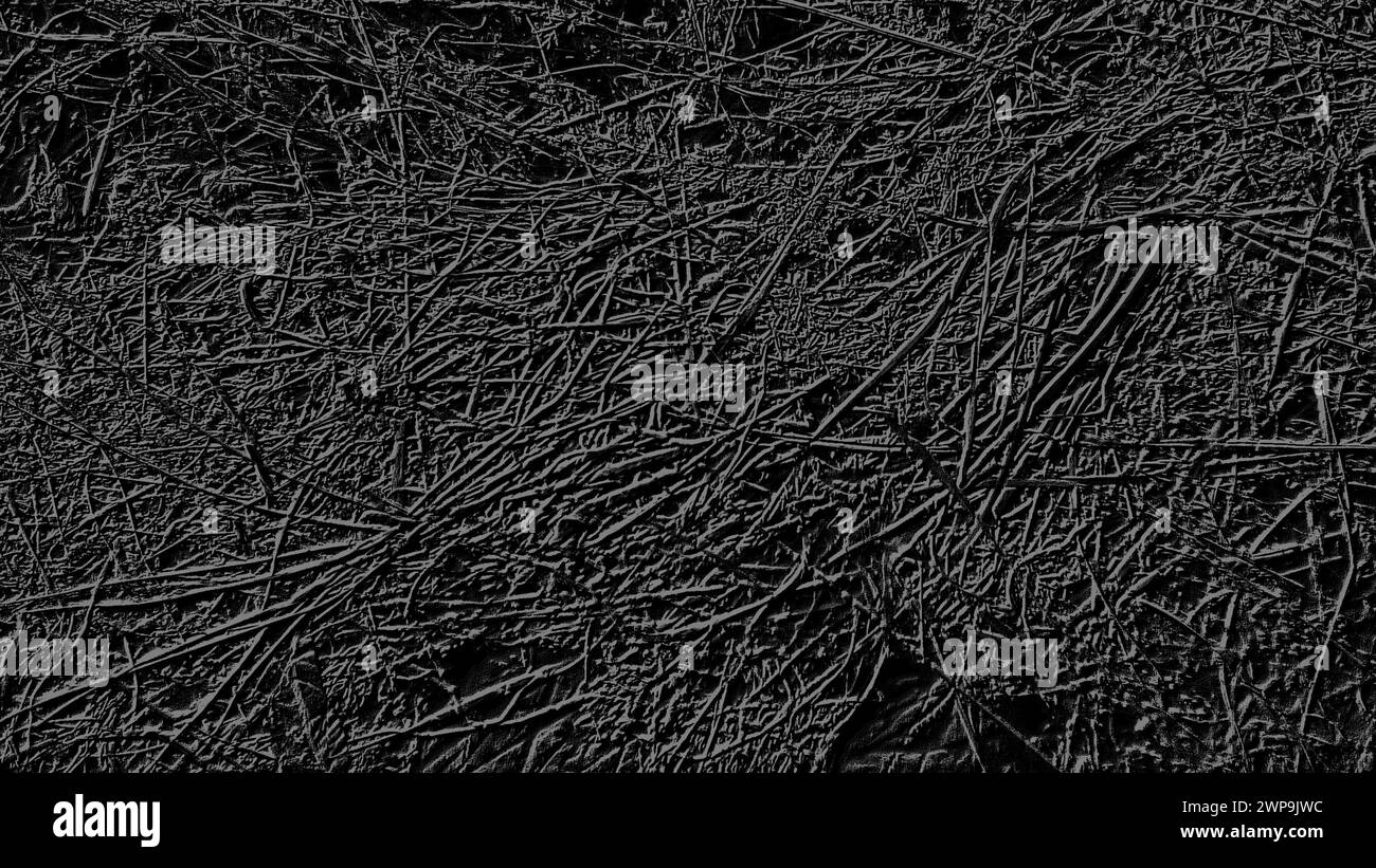 Image en noir et gris dans un thème floral. Fond monochrome similaire à l'herbe. Motif gris sur fond noir Banque D'Images