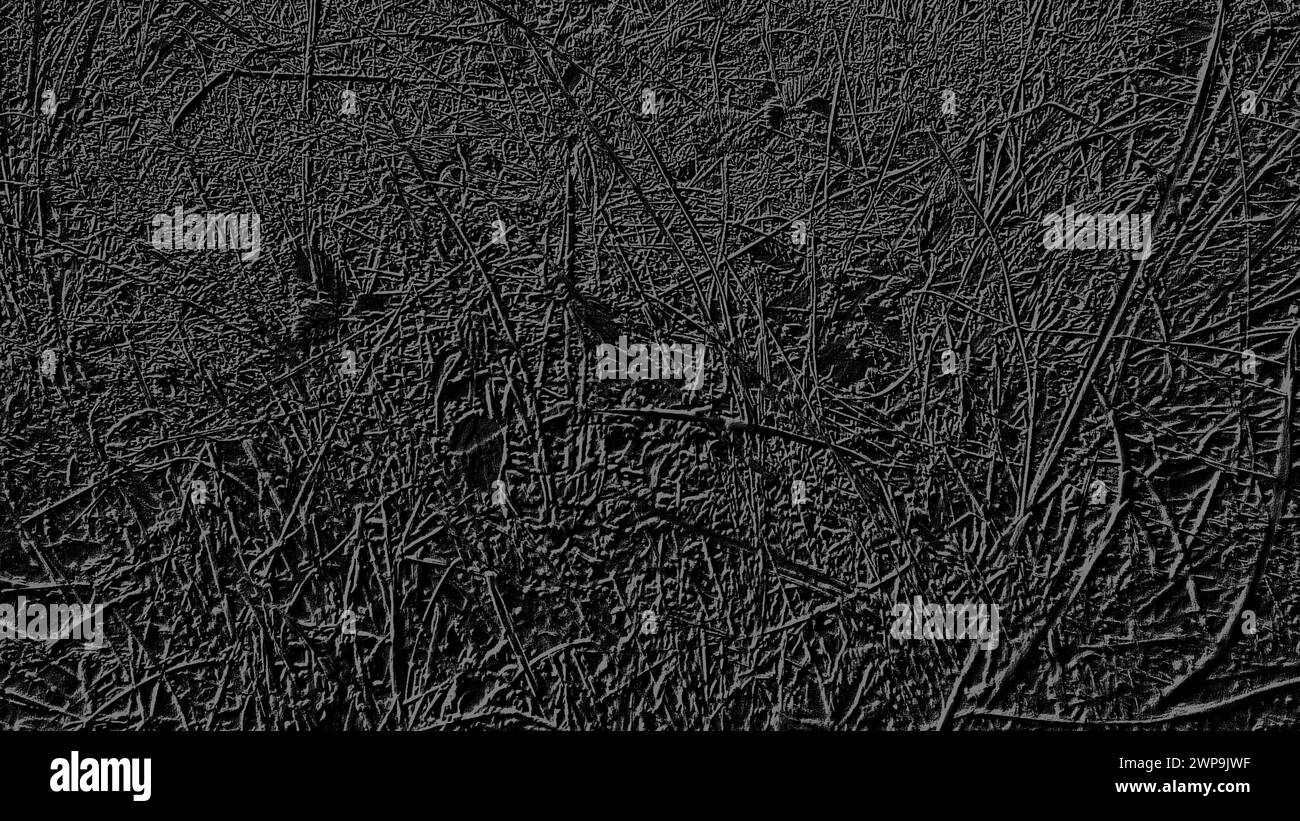 Image en noir et gris dans un thème floral. Fond monochrome similaire à l'herbe. Motif gris sur fond noir Banque D'Images