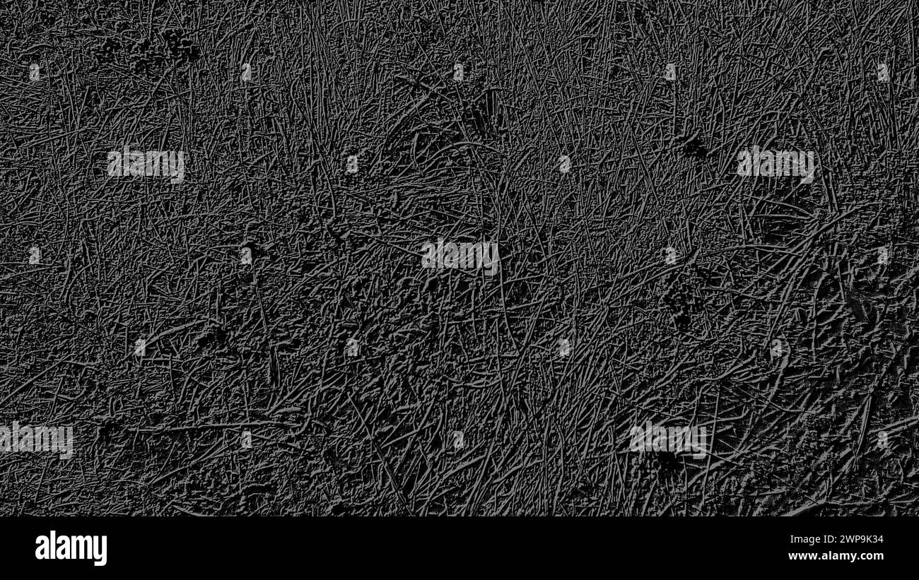 Image en noir et gris dans un thème floral. Fond monochrome similaire à l'herbe. Motif gris sur fond noir Banque D'Images