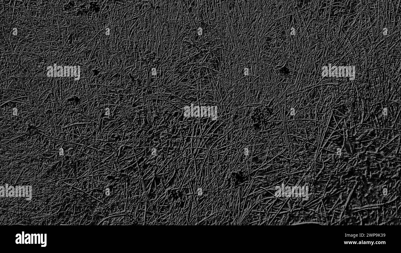 Image en noir et gris dans un thème floral. Fond monochrome similaire à l'herbe. Motif gris sur fond noir Banque D'Images