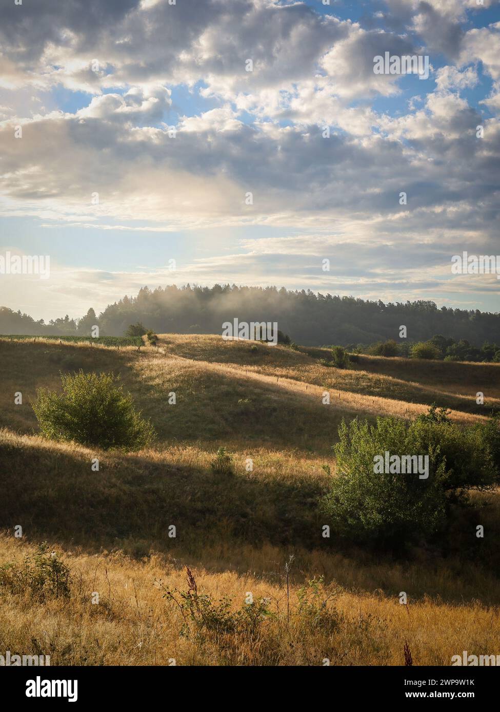 Paysage avec des collines et des arbres au lever du soleil tôt le matin. Lueur ambre avec des ombres et de la lumière. Brume matinale et nuages dramatiques. Banque D'Images