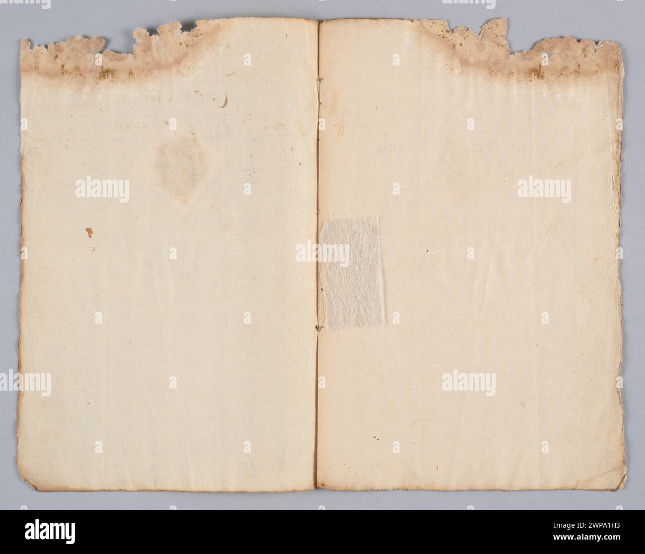 Wojciech Trojanowski a servi comme Staroste de la Terre de Dobryjan en 1662, fonctionnant comme fonctionnaire administratif régional au sein du Commonwealth polono-lituanien. Banque D'Images