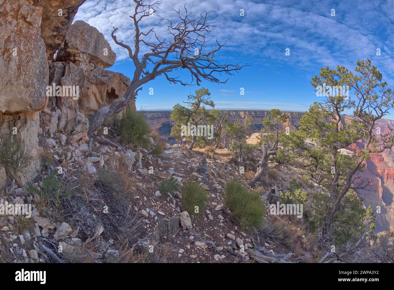 Vue de dessous les falaises du Great Mohave Wall Overlook le long de Hermit Road au Grand Canyon Arizona. Banque D'Images