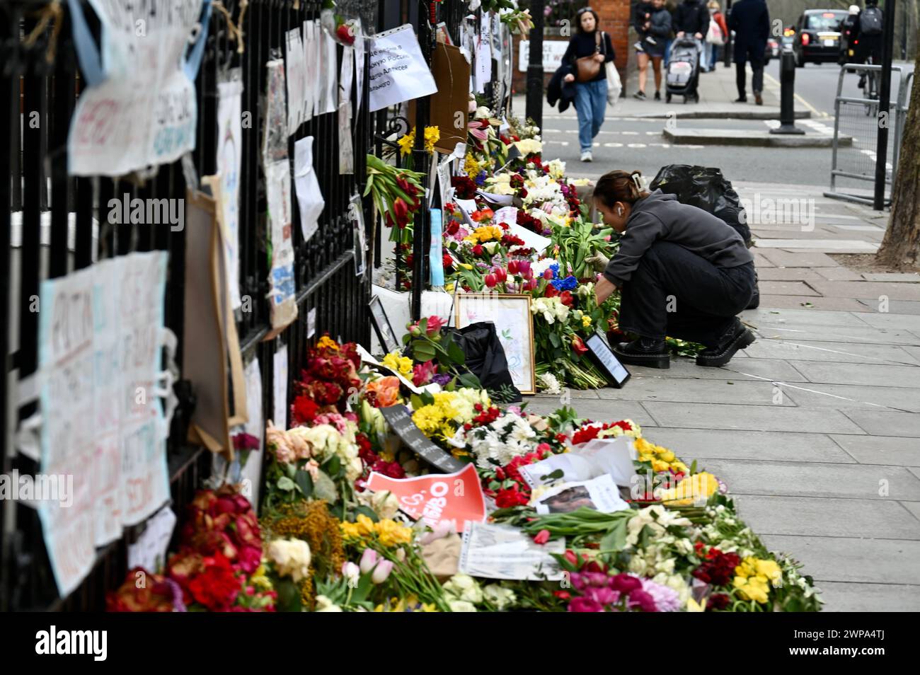 Les hommages floraux à Alexei Navalny, décédé le 16 février 2024, ont été laissés en face de l'ambassade de Russie à Bayswater, Londres, Royaume-Uni Banque D'Images