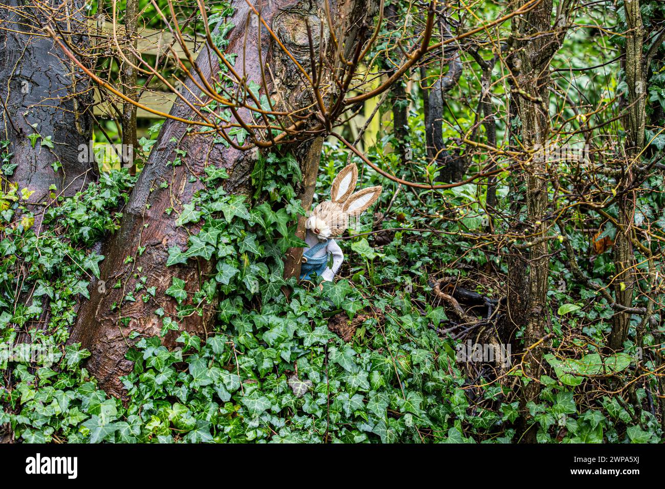 Personnages de lapin jouet mignon dans des cadres boisés parmi les gouttes de neige et les jonquilles. Idéal pour pâques ou les livres ou les photos des enfants. Banque D'Images