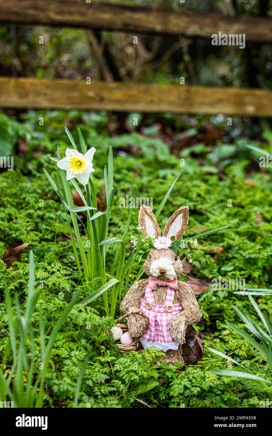 Personnages de lapin jouet mignon dans des cadres boisés parmi les gouttes de neige et les jonquilles. Idéal pour pâques ou les livres ou les photos des enfants. Banque D'Images