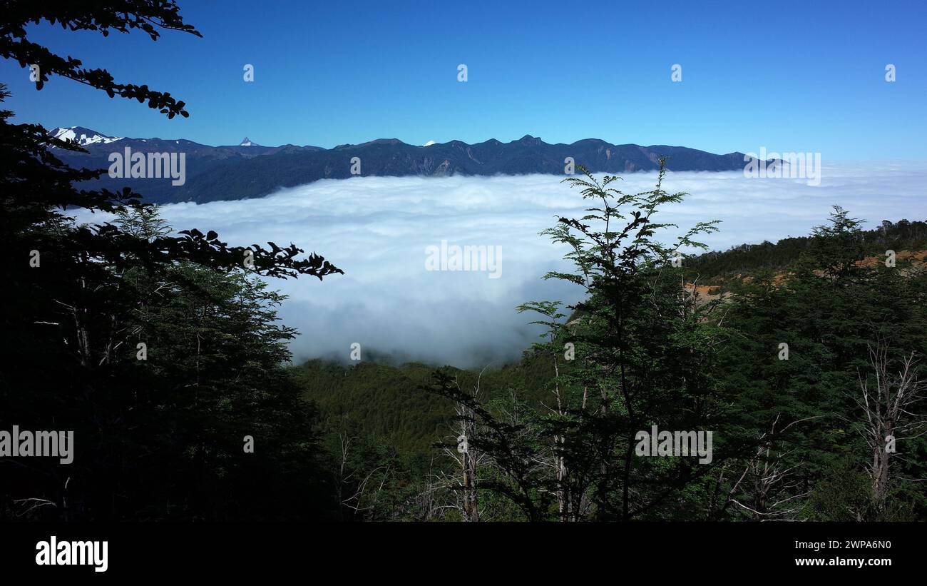 Montagnes au-dessus des nuages, vue de flanc de montagne à vallée remplie de nuages, parc national de Puyehue, région de Los Lagos, Chili Banque D'Images