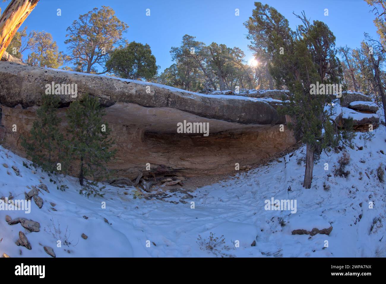 Surplombant la falaise, avec une grotte peu profonde, juste au-dessus d'un affluent qui alimente Hermit Creek au Grand Canyon Arizona. Situé à l'ouest de Hermits Rest. Banque D'Images