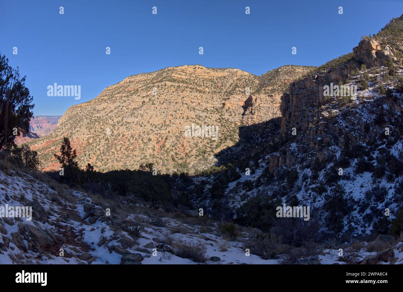 Les falaises de Waldron Canyon à Grand Canyon Arizona, au sud-ouest de Hermit Canyon en hiver. Banque D'Images