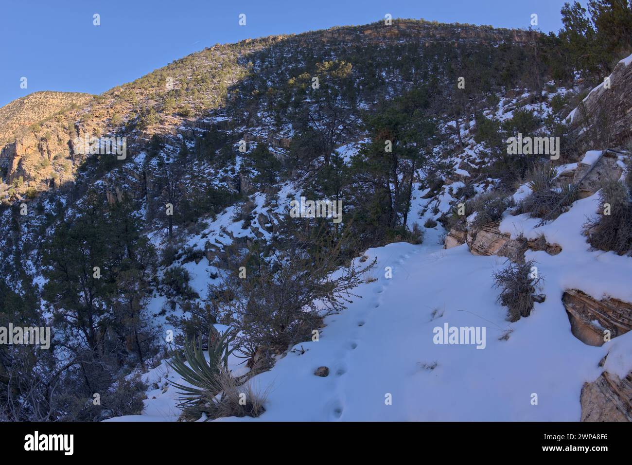Le sentier de falaise enneigé de Waldron Canyon à Grand Canyon Arizona, au sud-ouest de Hermit Canyon en hiver. Banque D'Images