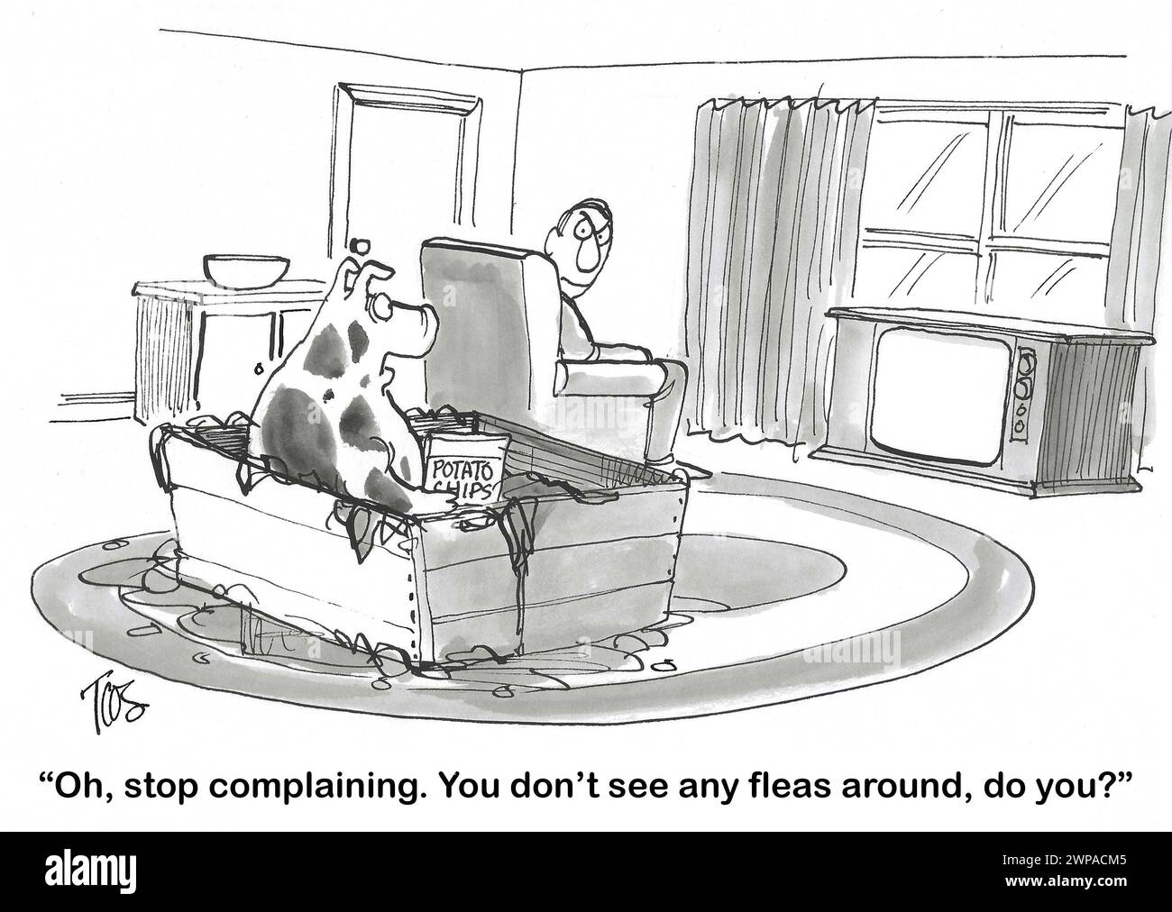 Dessin animé BW montrant un cochon très désordonné dans le salon de son propriétaire. Le cochon réplique qu'il n'y a plus de puces maintenant, même s'il y a du désordre. Banque D'Images