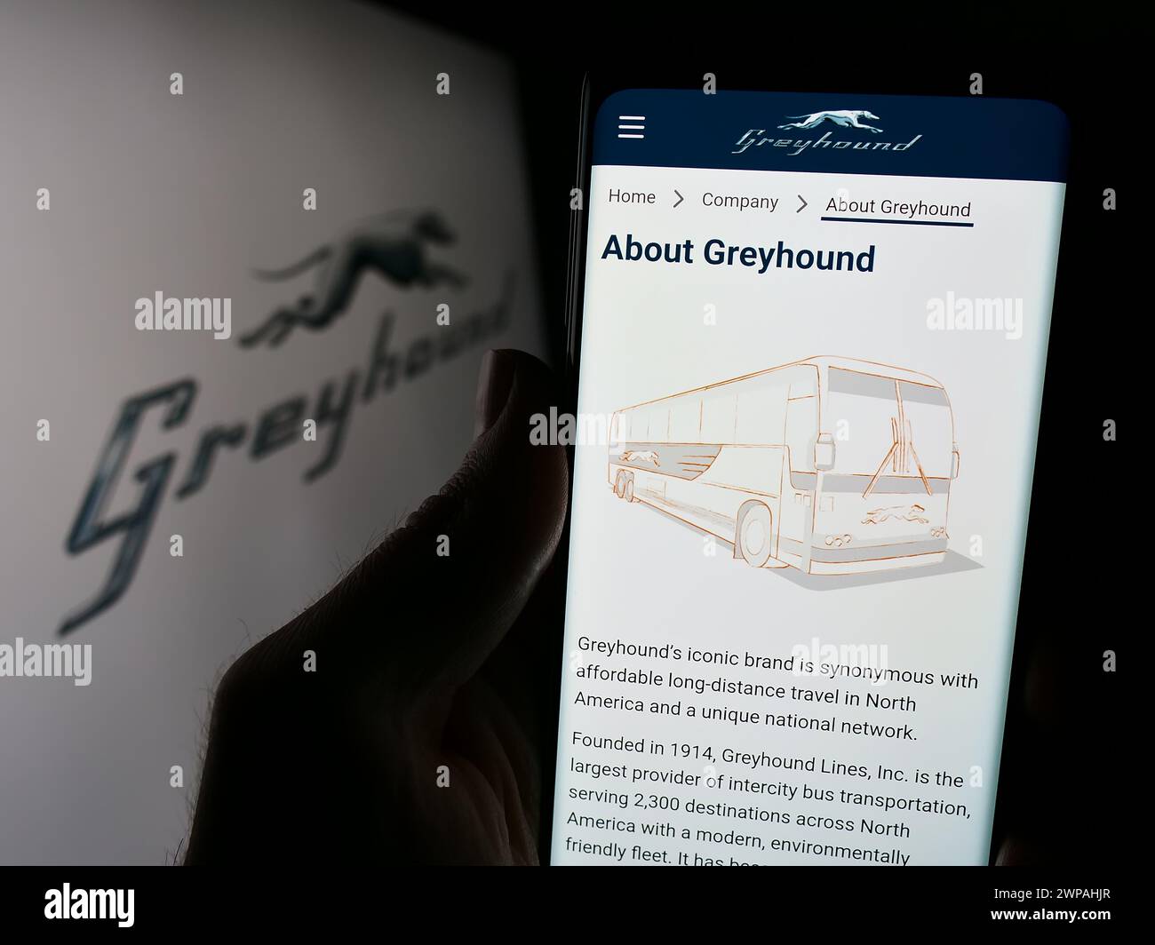 Personne tenant le smartphone avec la page Web de la compagnie de bus longue distance américaine Greyhound Lines Inc devant le logo. Concentrez-vous sur le centre de l'écran du téléphone. Banque D'Images